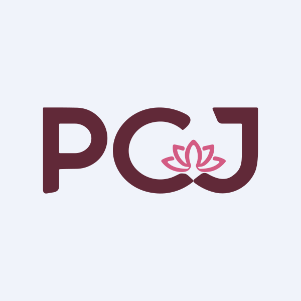 PC Jeweller share price today NSE BSE October 2026 small cap jewellery stock bulk deal retail investor analysis
